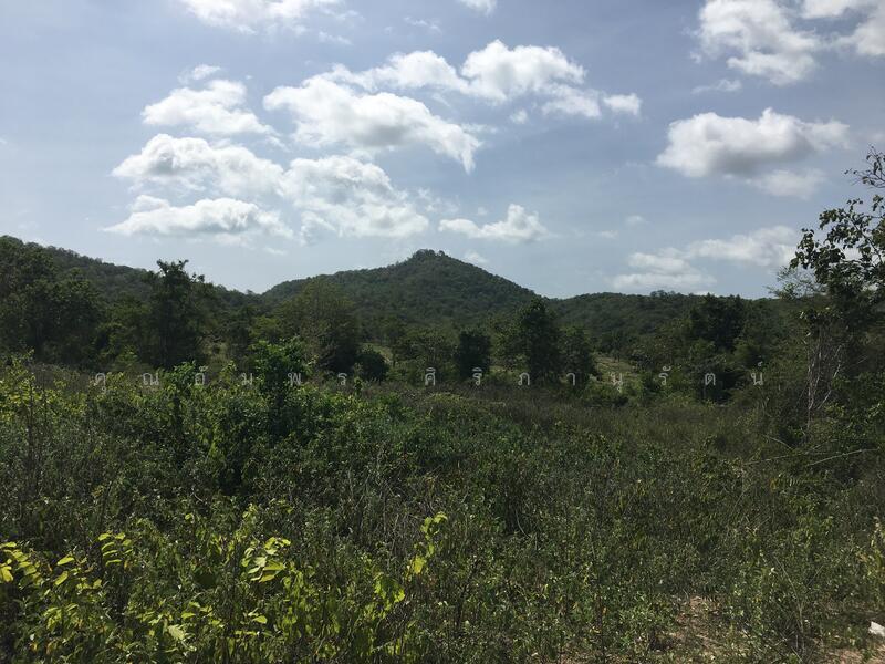 ทีดิน 13ไร่ ตรงข้าม BIG BOOM FARM ซอยหนองไผ่ หัวหิน น่าลงทุน, Prachuap Khiri Khan, 1049, Hin Lek Fai, Hua Hin, Prachuap Khiri Khan, , 21,196 sqm, Land For Sale, by คุณอัมพร ศิริภานุรัตน์, 60116979 - DDproperty.com