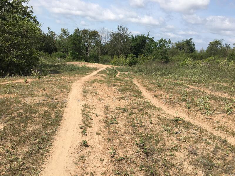 ทีดิน 13ไร่ ตรงข้าม BIG BOOM FARM ซอยหนองไผ่ หัวหิน น่าลงทุน, ประจวบคีรีขันธ์, 1049, หินเหล็กไฟ, หัวหิน, ประจวบคีรีขันธ์, 21,196 ตร.ม., ที่ดิน ขาย, โดย คุณอัมพร ศิริภานุรัตน์, 60116979 - DDproperty.com