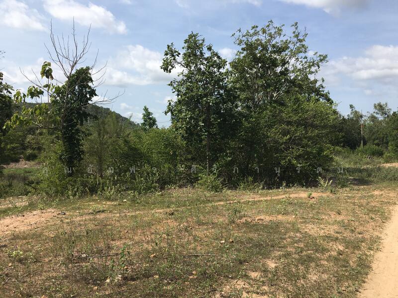 ทีดิน 13ไร่ ตรงข้าม BIG BOOM FARM ซอยหนองไผ่ หัวหิน น่าลงทุน, Prachuap Khiri Khan, 1049, Hin Lek Fai, Hua Hin, Prachuap Khiri Khan, , 21,196 sqm, Land For Sale, by คุณอัมพร ศิริภานุรัตน์, 60116979 - DDproperty.com