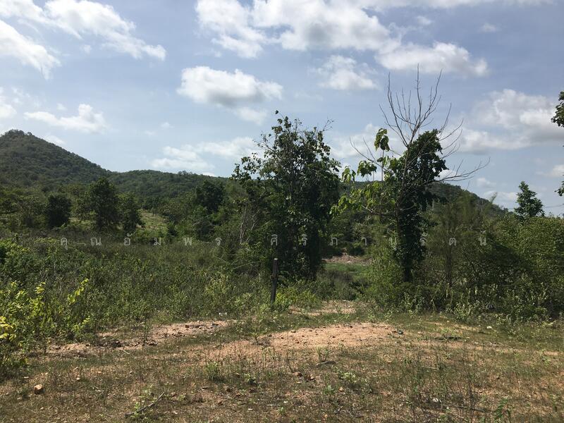 ทีดิน 13ไร่ ตรงข้าม BIG BOOM FARM ซอยหนองไผ่ หัวหิน น่าลงทุน, ประจวบคีรีขันธ์, 1049, หินเหล็กไฟ, หัวหิน, ประจวบคีรีขันธ์, 21,196 ตร.ม., ที่ดิน ขาย, โดย คุณอัมพร ศิริภานุรัตน์, 60116979 - DDproperty.com