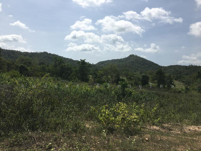 ทีดิน 13ไร่ ตรงข้าม BIG BOOM FARM ซอยหนองไผ่ หัวหิน น่าลงทุน, Prachuap Khiri Khan, 1049, Hin Lek Fai, Hua Hin, Prachuap Khiri Khan, , 21,196 sqm, Land For Sale, by คุณอัมพร ศิริภานุรัตน์, 60116979 - DDproperty.com