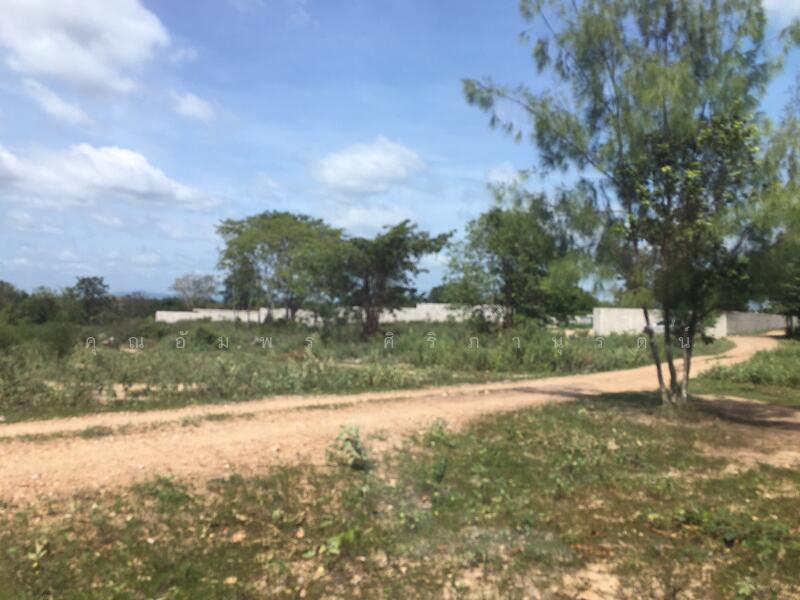 ทีดิน 13ไร่ ตรงข้าม BIG BOOM FARM ซอยหนองไผ่ หัวหิน น่าลงทุน, Prachuap Khiri Khan, 1049, Hin Lek Fai, Hua Hin, Prachuap Khiri Khan, , 21,196 sqm, Land For Sale, by คุณอัมพร ศิริภานุรัตน์, 60116979 - DDproperty.com