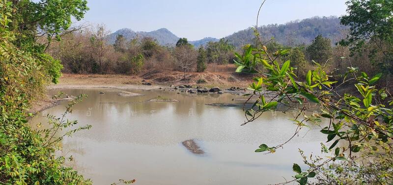 ทีดิน 13ไร่ ตรงข้าม BIG BOOM FARM ซอยหนองไผ่ หัวหิน น่าลงทุน, ประจวบคีรีขันธ์, 1049, หินเหล็กไฟ, หัวหิน, ประจวบคีรีขันธ์, 21,196 ตร.ม., ที่ดิน ขาย, โดย คุณอัมพร ศิริภานุรัตน์, 60116979 - DDproperty.com