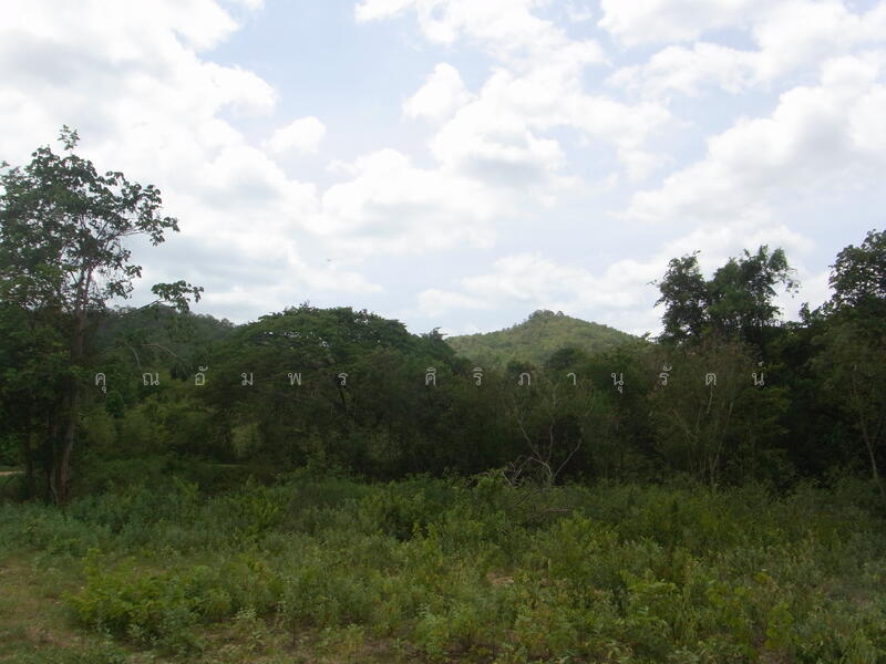 ทีดิน 13ไร่ ตรงข้าม BIG BOOM FARM ซอยหนองไผ่ หัวหิน น่าลงทุน, Prachuap Khiri Khan, 1049, Hin Lek Fai, Hua Hin, Prachuap Khiri Khan, , 21,196 sqm, Land For Sale, by คุณอัมพร ศิริภานุรัตน์, 60116979 - DDproperty.com