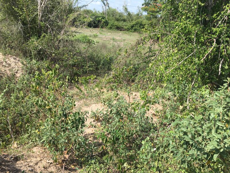 ทีดิน 13ไร่ ตรงข้าม BIG BOOM FARM ซอยหนองไผ่ หัวหิน น่าลงทุน, Prachuap Khiri Khan, 1049, Hin Lek Fai, Hua Hin, Prachuap Khiri Khan, , 21,196 sqm, Land For Sale, by คุณอัมพร ศิริภานุรัตน์, 60116979 - DDproperty.com