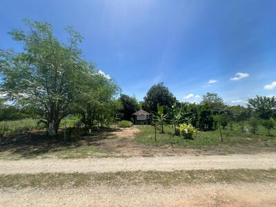 ขาย - ที่ดินกำแพงแสน นครปฐม, นครปฐม