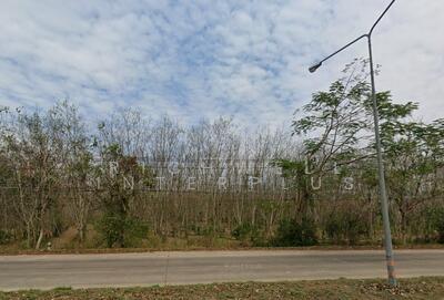 ขาย - ขายที่ดินหนองใหญ่ 30 ไร่ ติดถนนสี่เลนเส้นหนองใหญ่ ใกล้นิคมโรจนะหนองใหญ่-5กม., ชลบุรี