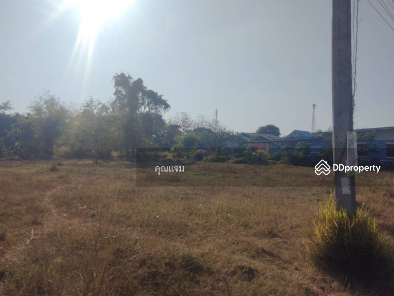 For Sale - ที่ดินว่างเปล่าสกลนคร, Sakon Nakhon