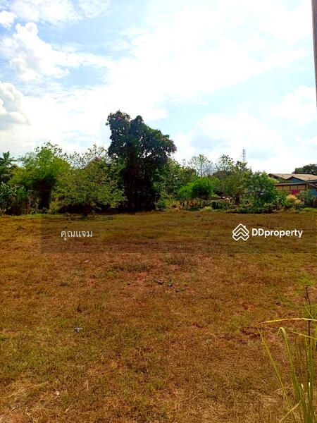 For Sale - ที่ดินว่างเปล่าสกลนคร, Sakon Nakhon