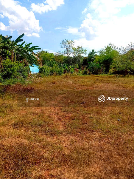 ขาย - ที่ดินว่างเปล่าสกลนคร, สกลนคร