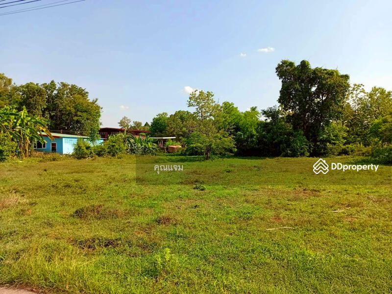 For Sale - ที่ดินว่างเปล่าสกลนคร, Sakon Nakhon