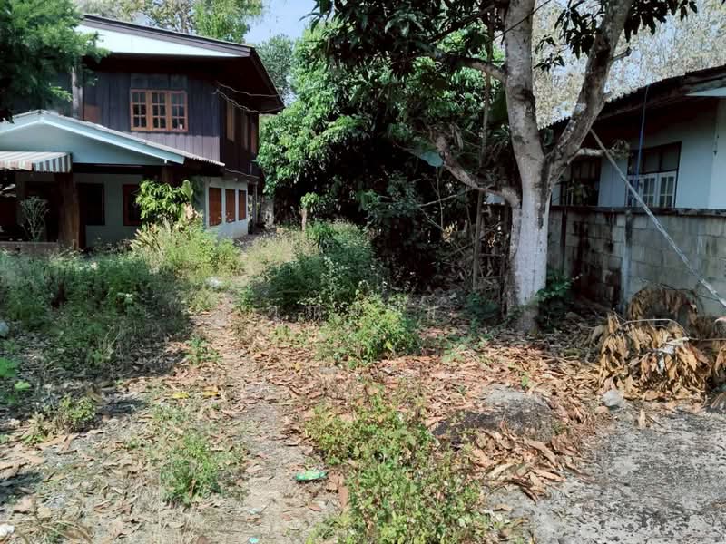 For Sale - นอกโครงการพะเยา, Phayao