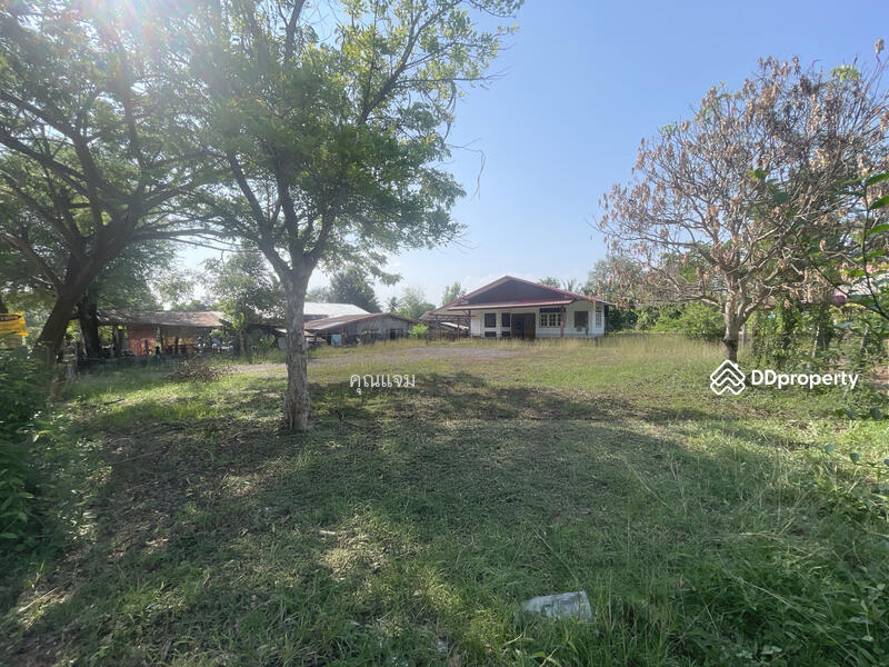 For Sale - นอกโครงการหนองคาย, Nong Khai