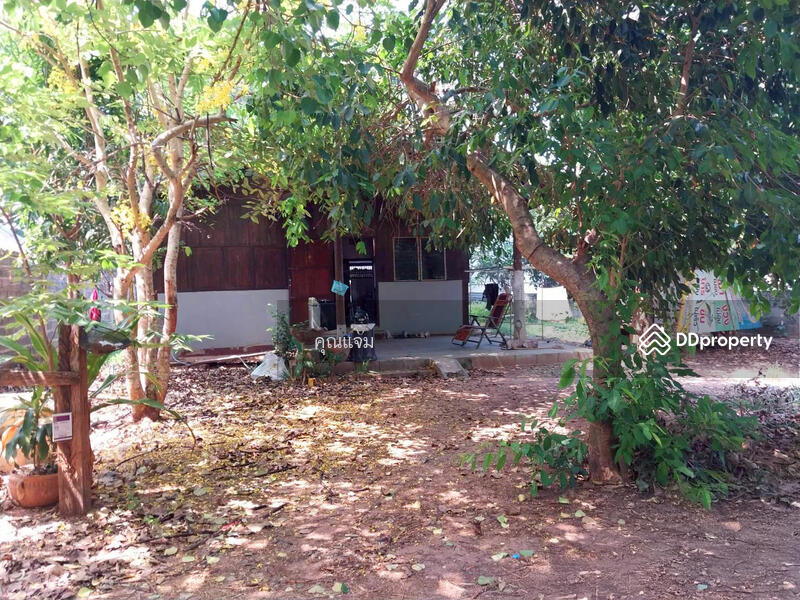 For Sale - ชุมชนบ้านป่าบง, Nakhon Ratchasima