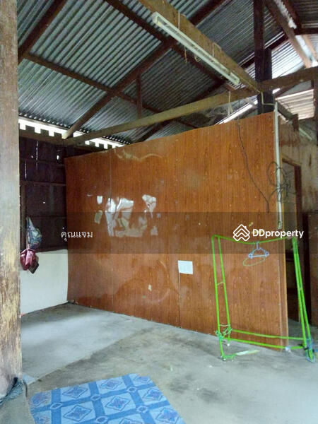 ขาย - ชุมชนบ้านป่าบง, นครราชสีมา
