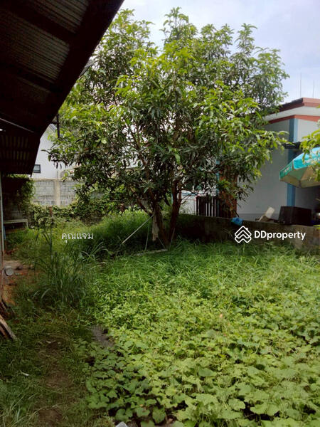 For Sale - ชุมชนบ้านป่าบง, Nakhon Ratchasima