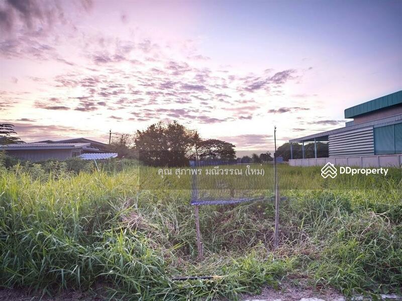 ขาย - ที่ดินเปล่า 61 ตร.ว. ที่ดินเปล่า ซอยทิมรัตนะ ถนนบางกรวย-ไทรน้อย ถนนกาญจนาภิเษก บางบัวทอง นนทบุรี, นนทบุรี