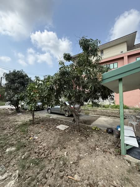 ขายที่ดิน ศรีนครินทร์ซอย 45 เหมาะสำหรับสร้างบ้านพักอาศัย, Bangkok, ศรีนครินทร์ซอย 45, Nong Bon, Prawet, Bangkok, , 796 sqm, Land For Sale, by Suchanya Piboonwiput, 60117410 - DDproperty.com