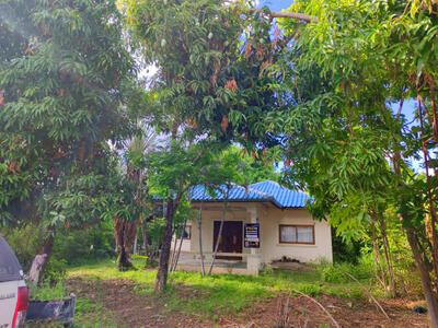 ขาย - นอกโครงการมหาสารคาม, มหาสารคาม