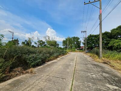 ขาย - ที่ดินบ้านโพธิ์ ฉะเชิงเทรา, ฉะเชิงเทรา