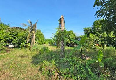 ขาย - ที่ดินดอนตูม นครปฐม, นครปฐม