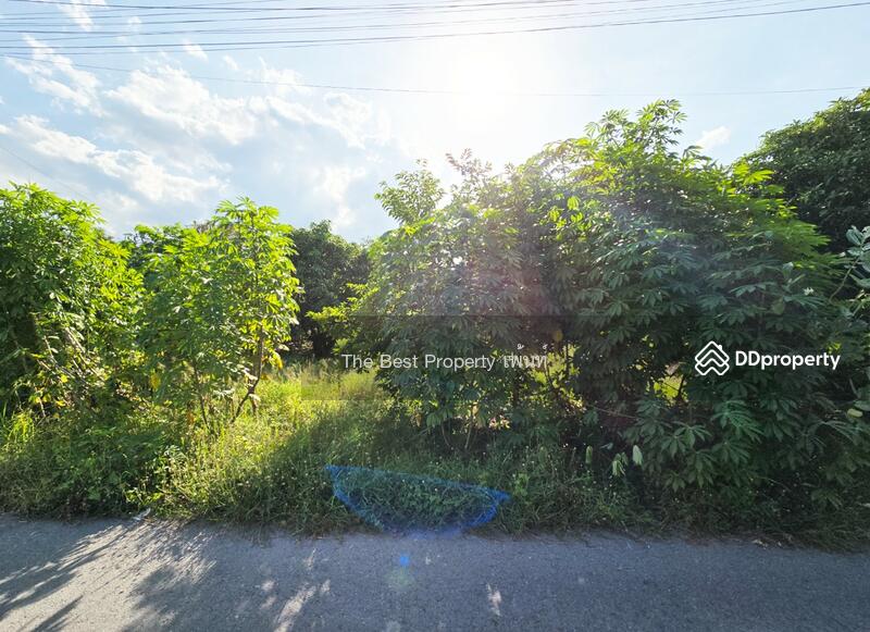 ขาย - ที่ดินดอนตูม นครปฐม, นครปฐม