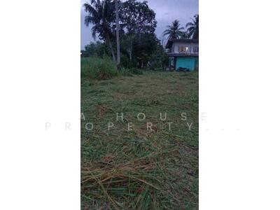 ขาย - ขายที่ดินหนองเลง หนองขาม ศรีราชา, ชลบุรี