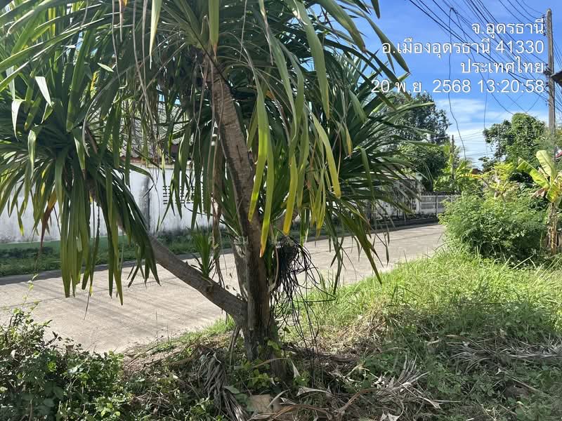 For Sale - นอกโครงการอุดรธานี, Udon Thani