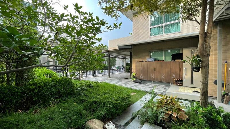 For Sale - Siamese Kin Ramintra, Bangkok