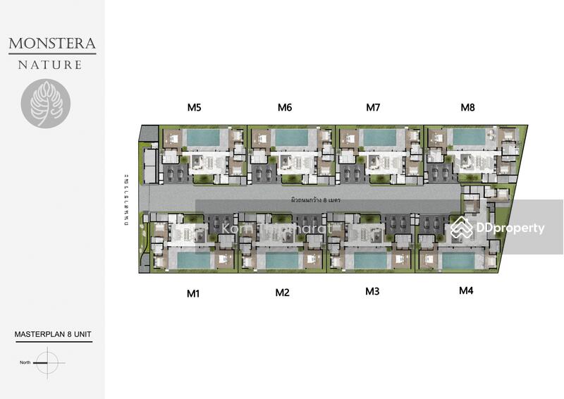 ขาย - มอนสเตอร่า วิลล่า Monstera Villas, ภูเก็ต
