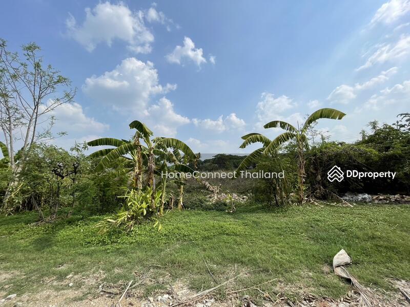 ขาย - Land for Sale in Krung Thep Kreetha 33, กรุงเทพ