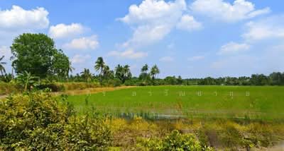 ขาย - ที่ดินราคาดี เพียง 4.5 กม.จากเซ็นทรัล ศาลายา, 1.4 กม.จากถ.บรมราชชนนี ติดถนนคอนกรีต 17-3-27 ไร่, นครปฐม