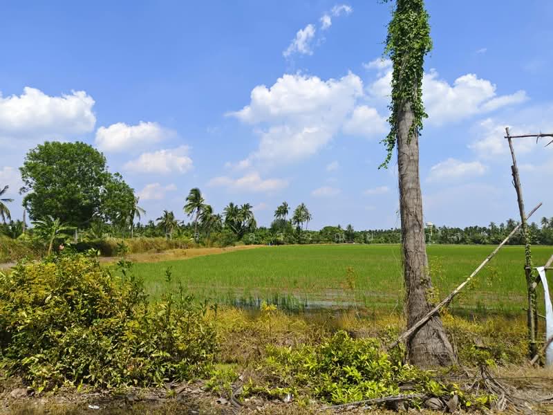 Land Plot Good Price– Only 4.5 km from Central Salaya – Concrete Road Frontage – 17-3-27 Rai, Nakhon Pathom, Hom Kret, Sam Phran, Nakhon Pathom, , 28,508 sqm, Land For Sale, by ภัทรภร ลาวัณยากุล, 60118360 - DDproperty.com