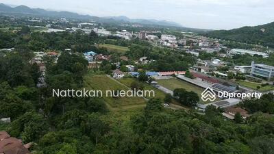 ขาย - ปากช่อง, นครราชสีมา