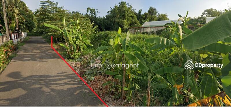 For Rent - Land Mae Hia , Mueang Chiang Mai, Chiang Mai