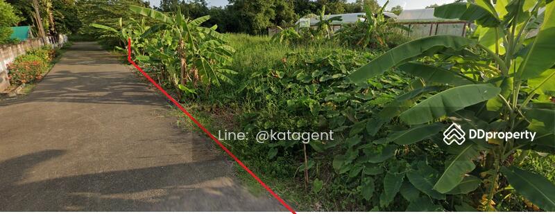 For Rent - Land Mae Hia , Mueang Chiang Mai, Chiang Mai