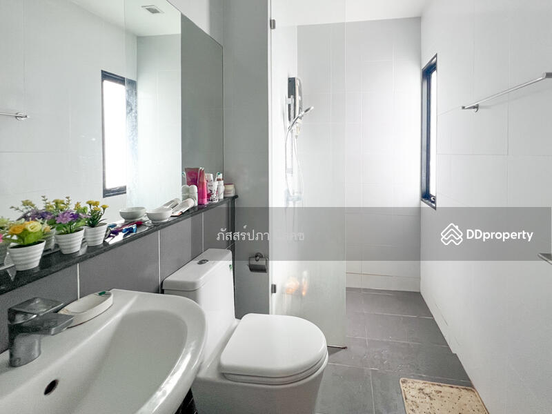 ขาย - Cozy Satri Witthaya 2 Soi 15 : โคซี่ สตรีวิทยา 2 ซอย 15, กรุงเทพ
