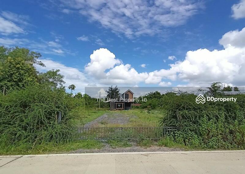 ขาย - ที่ดินหนองปลิง นครสวรรค์, นครสวรรค์