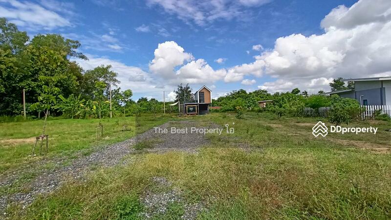 ขาย - ที่ดินหนองปลิง นครสวรรค์, นครสวรรค์