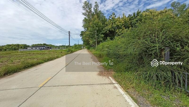 ขาย - ที่ดินหนองปลิง นครสวรรค์, นครสวรรค์