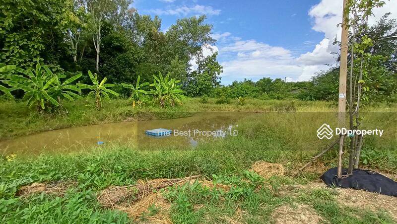 ขาย - ที่ดินหนองปลิง นครสวรรค์, นครสวรรค์
