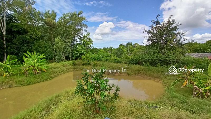 ขาย - ที่ดินหนองปลิง นครสวรรค์, นครสวรรค์