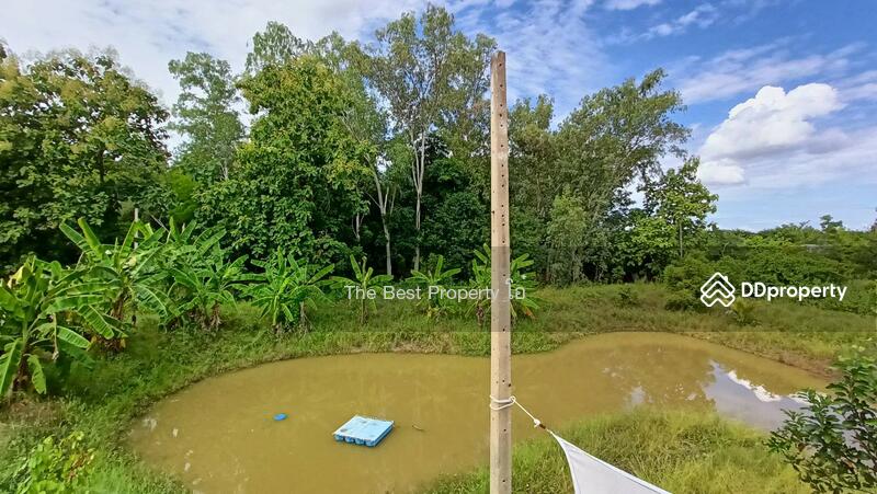 ขาย - ที่ดินหนองปลิง นครสวรรค์, นครสวรรค์