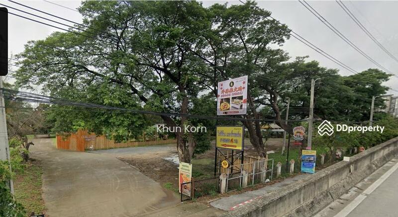 ขาย - จังหวัดเชียงใหม่, เชียงใหม่