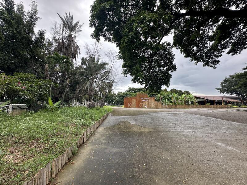 ขาย - จังหวัดเชียงใหม่, เชียงใหม่