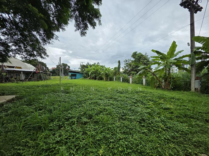 ขาย - จังหวัดเชียงใหม่, เชียงใหม่