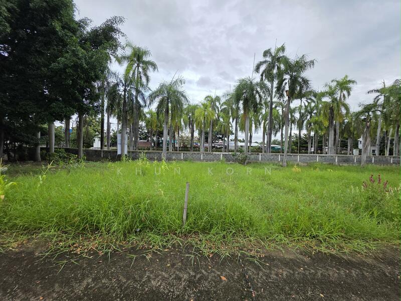 ขาย - จังหวัดเชียงใหม่, เชียงใหม่