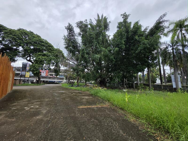 ขาย - จังหวัดเชียงใหม่, เชียงใหม่