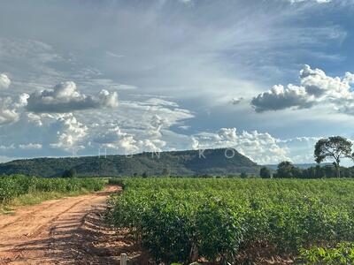 ขาย - ขาย ที่ดินวิวสวย ที่อยู่เนินเขา ต.หนองหญ้าขาว, นครราชสีมา