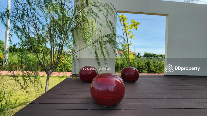 For Rent - Rill Condo Rangsit, Pathum Thani